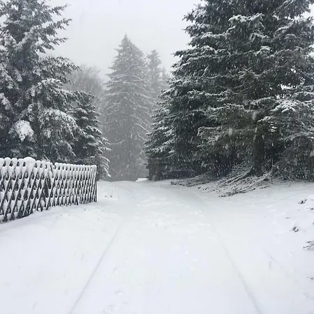 בית נופש In Levinska Ole Near Giant Mountains *